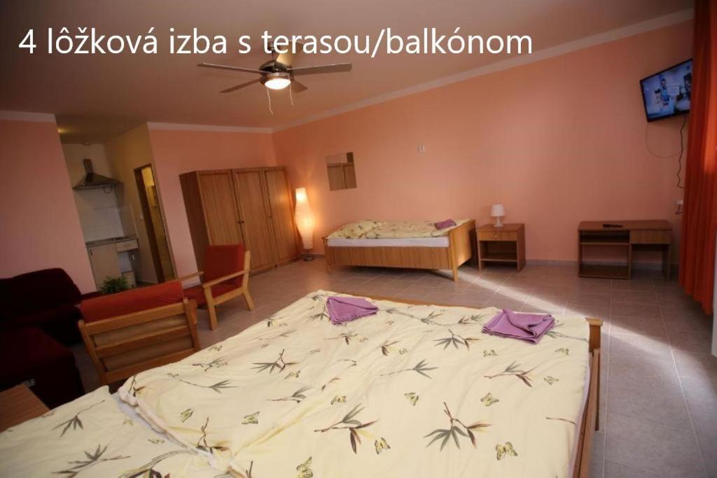 Europa Penzion Štúrovo エクステリア 写真